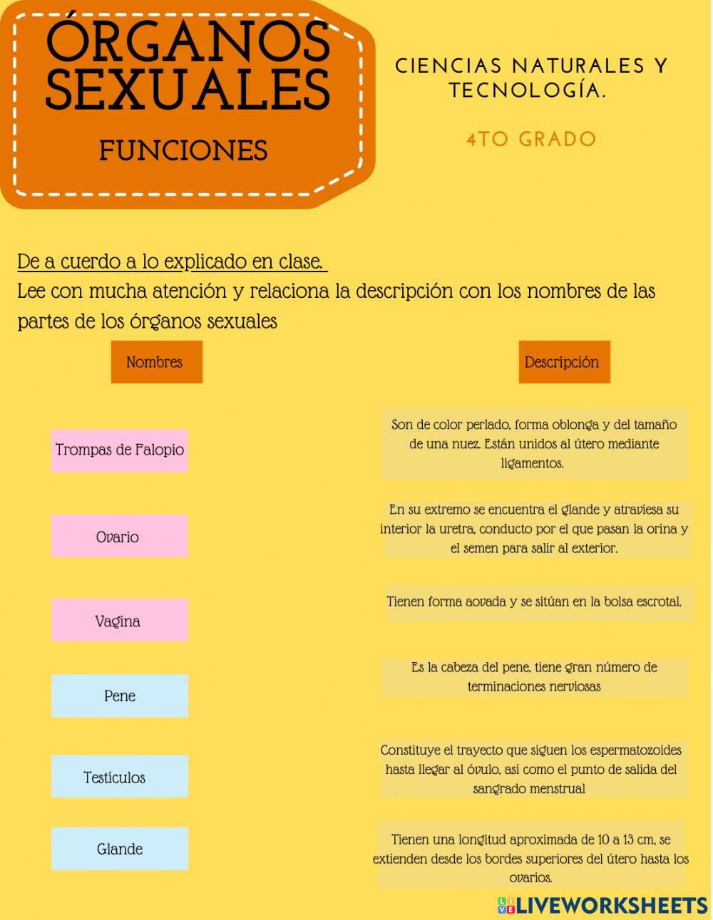 Funciones de O.S