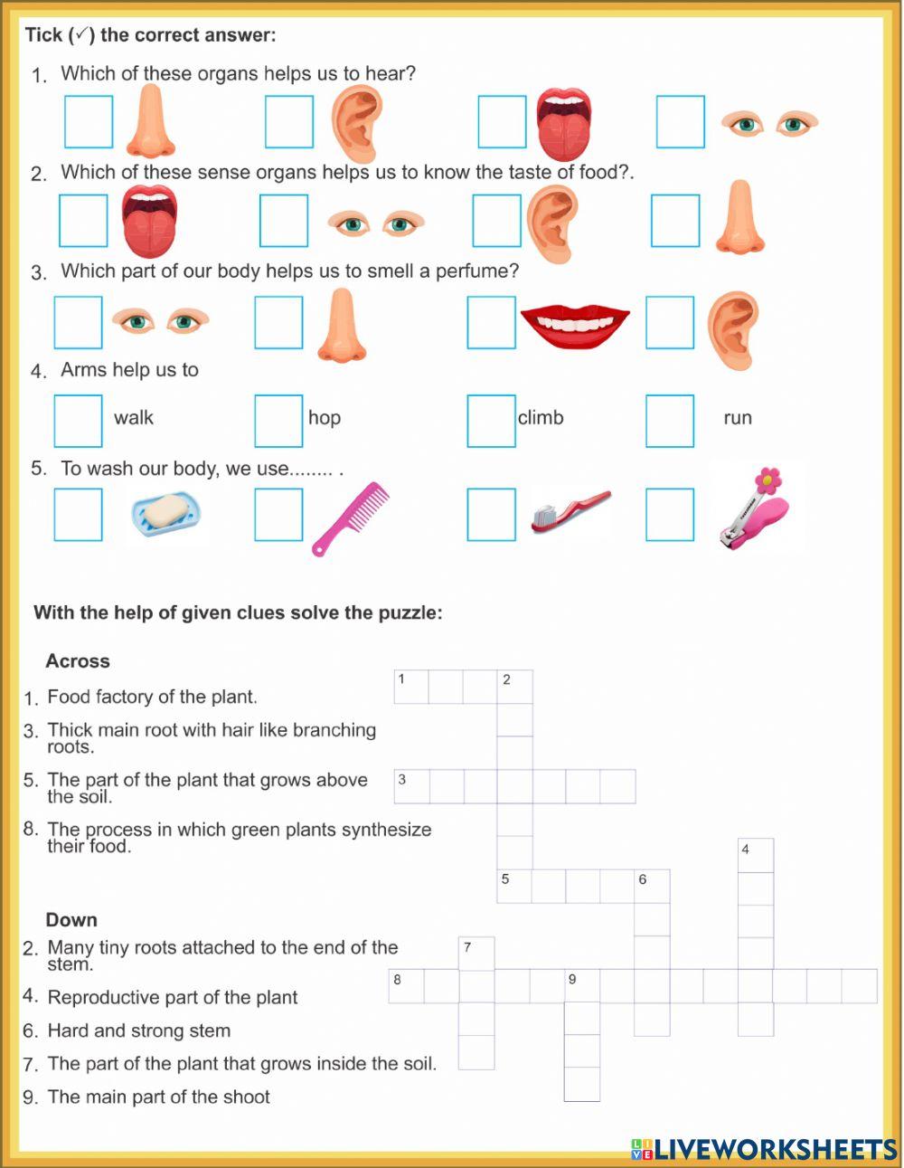 3RD CLASS SCIENCE QUESION PAPER 