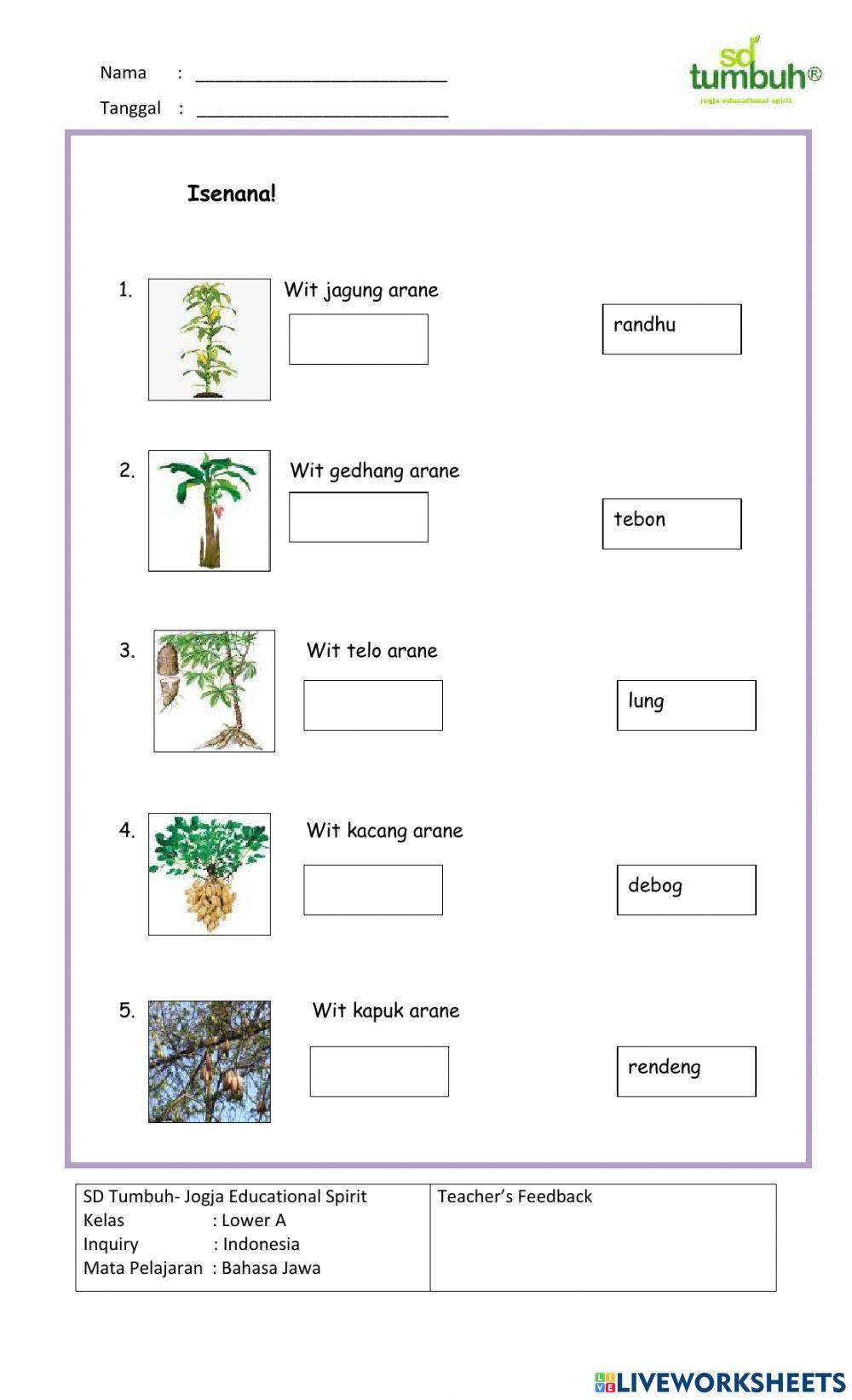 Bahasa Jawa-Arane Tanduran-Isian Singkat