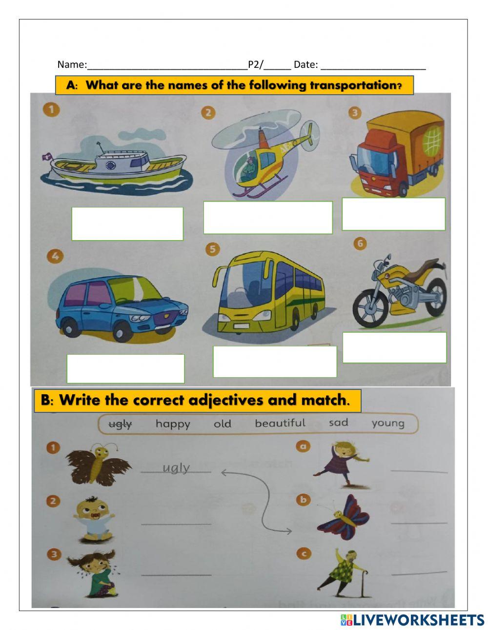 Transporatation and Pets