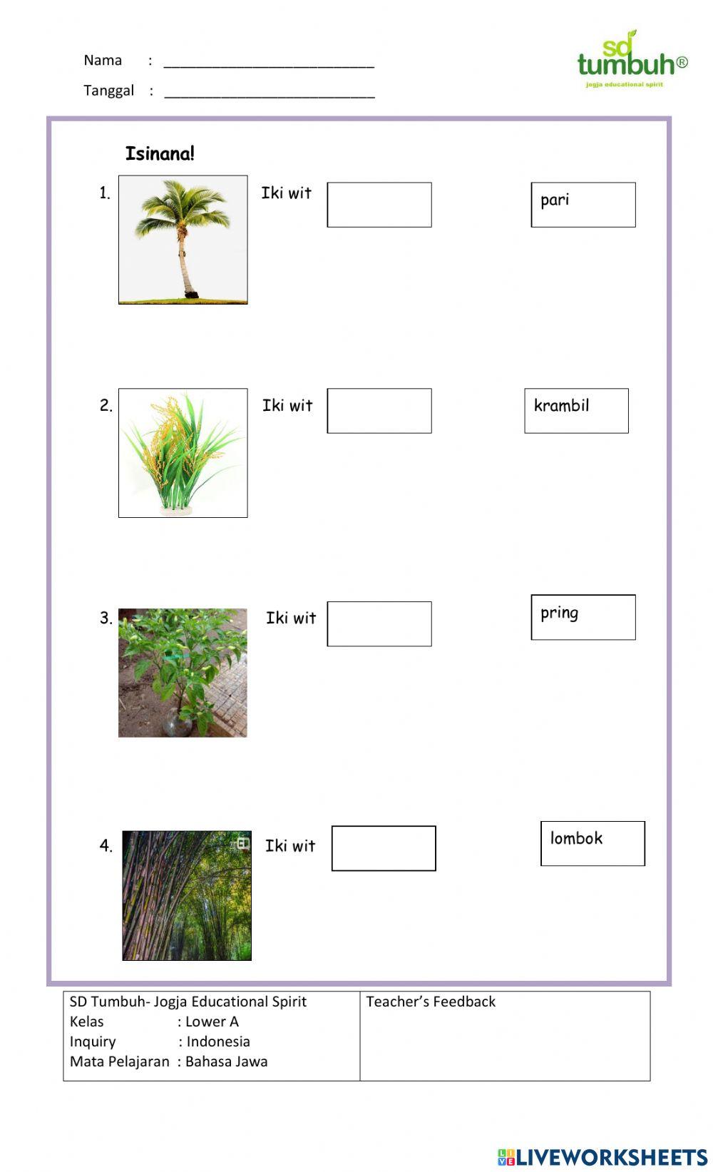 Bahasa Jawa-Arane Tanduran-Menjodohkan