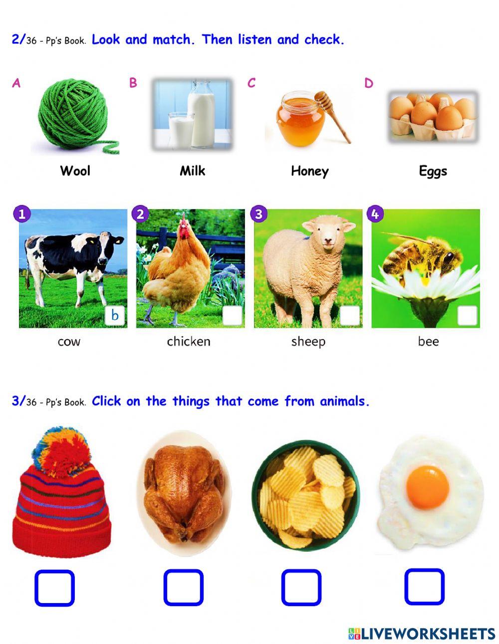 PU 1 - Unit 3 - PG 34 & 35