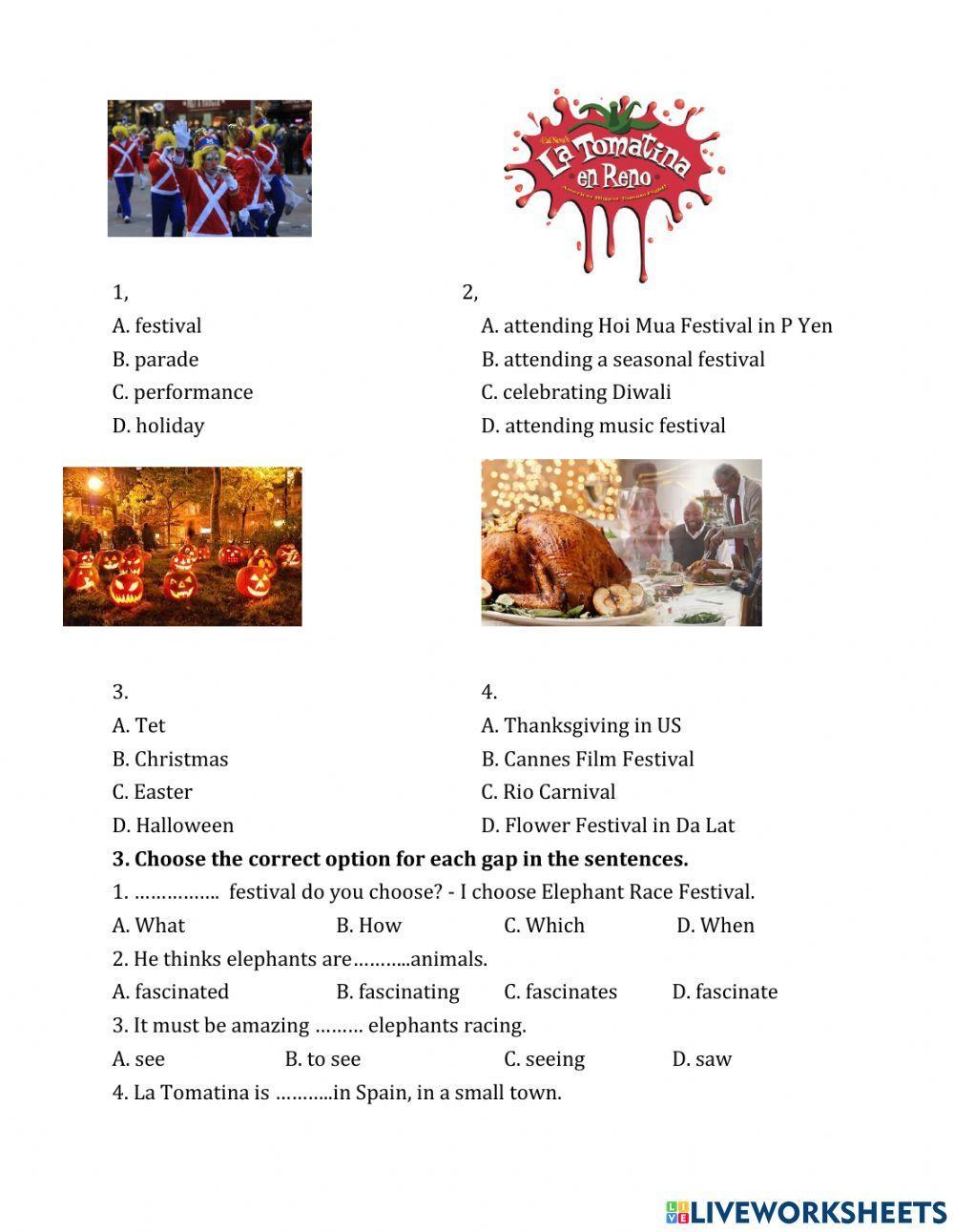 Unit 9 Festivals around the world