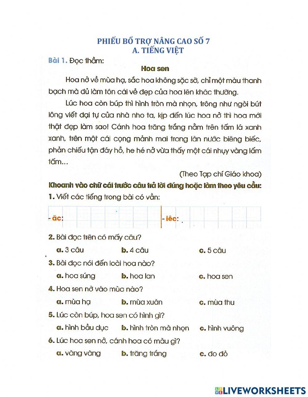 Phiếu bổ trợ nâng cao số 7