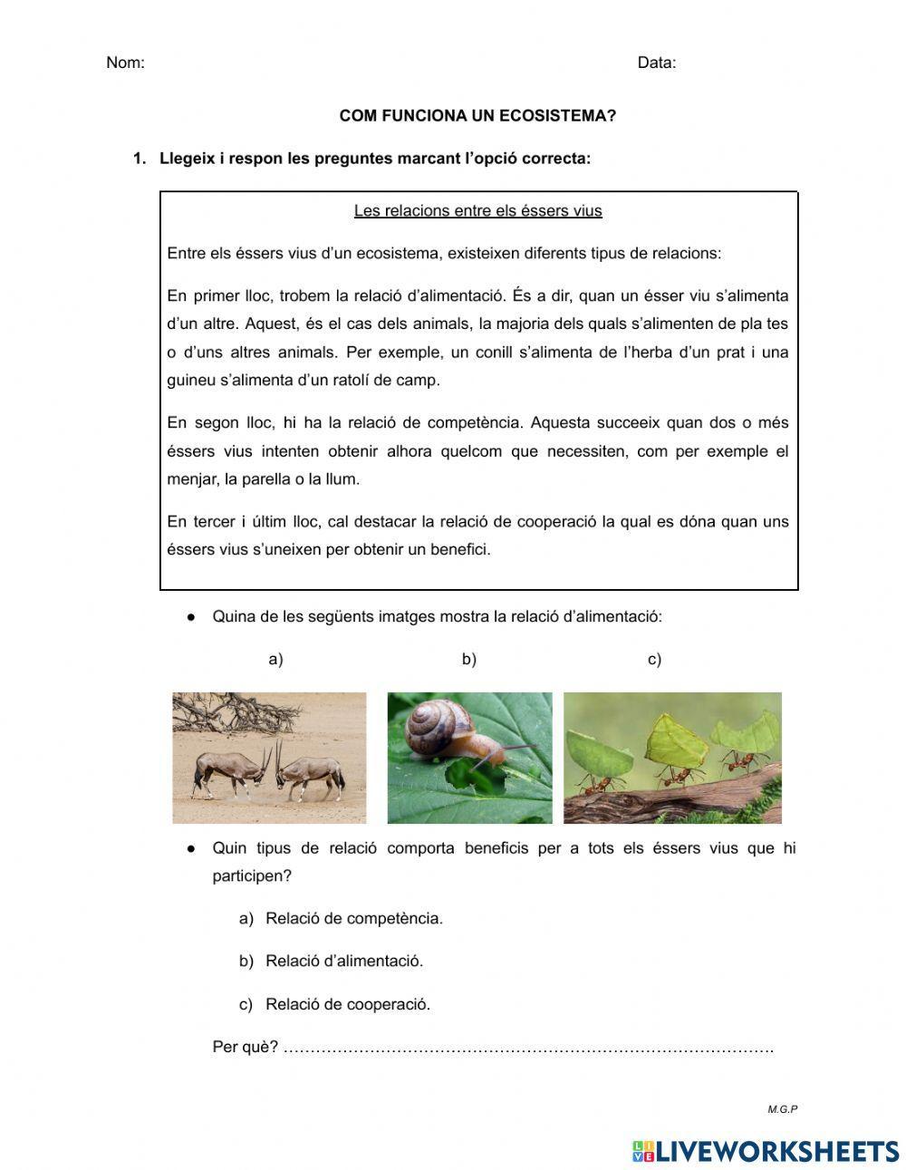 Funcionament d'un ecosistema