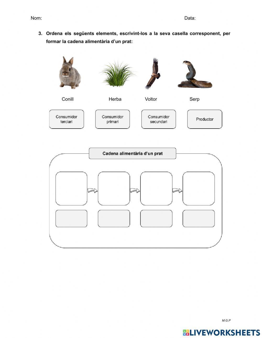Funcionament d'un ecosistema
