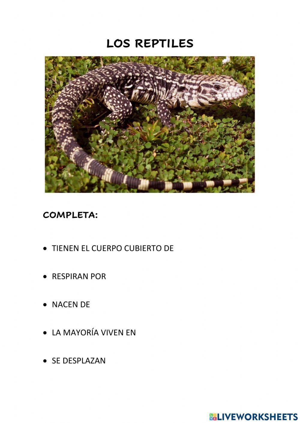 Animales vertebrados 3