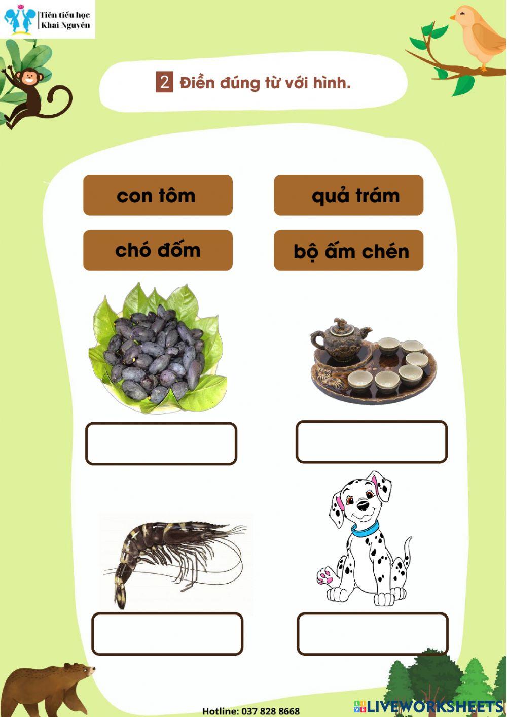 Bài 7 am amam om ôm ơm