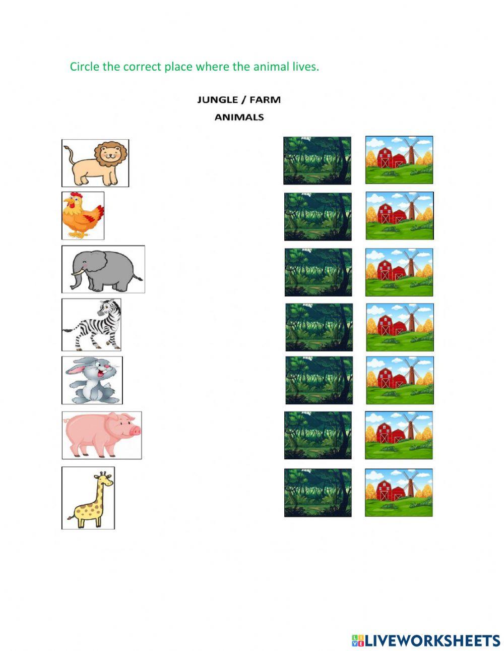 Kindergarden Free Interactive Worksheets 1906534