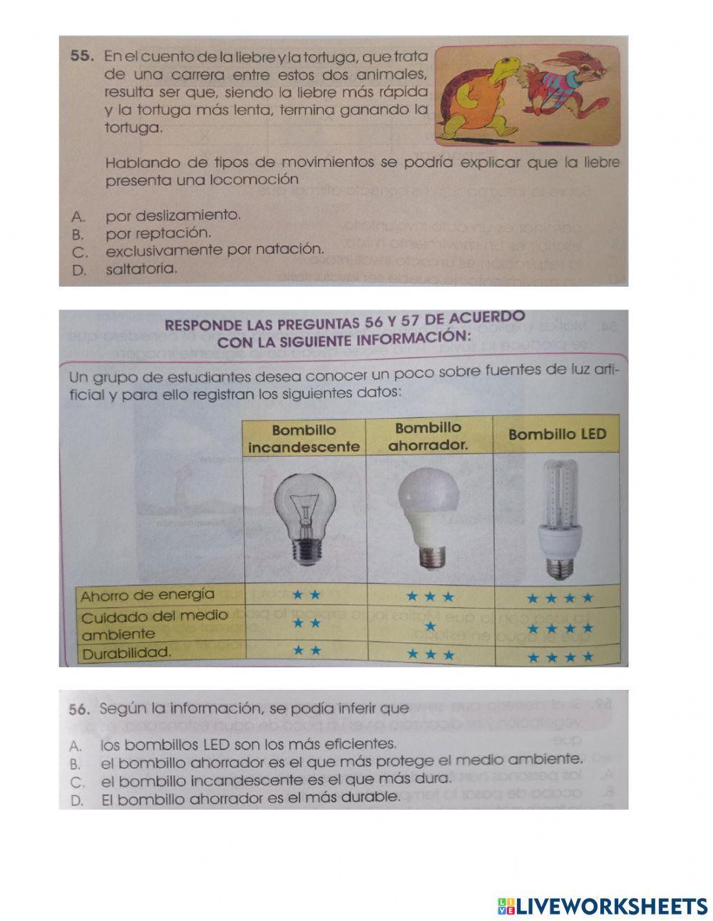 Prueba saber ciencias naturales grado tercero