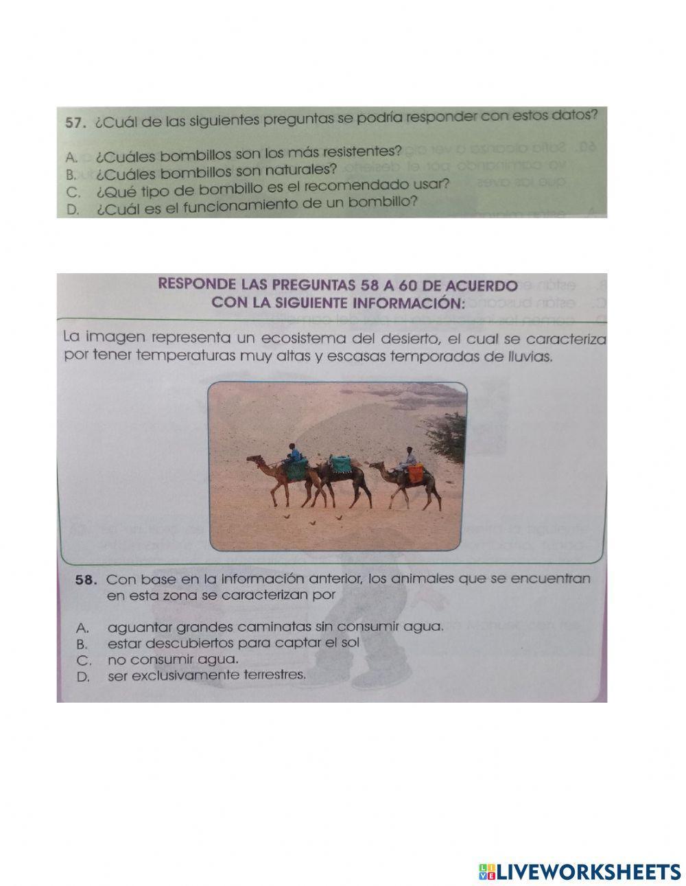 Prueba saber ciencias naturales grado tercero