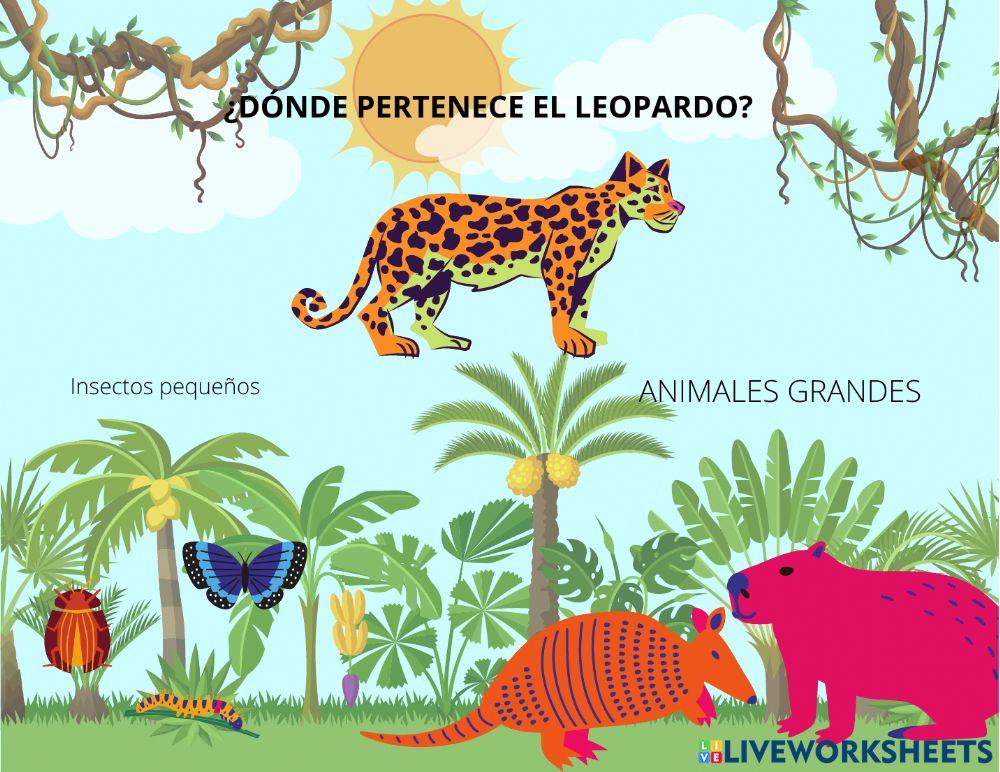 Clasificación de tamaño