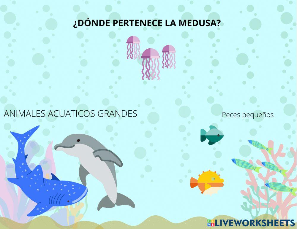 Clasificación por tamaño