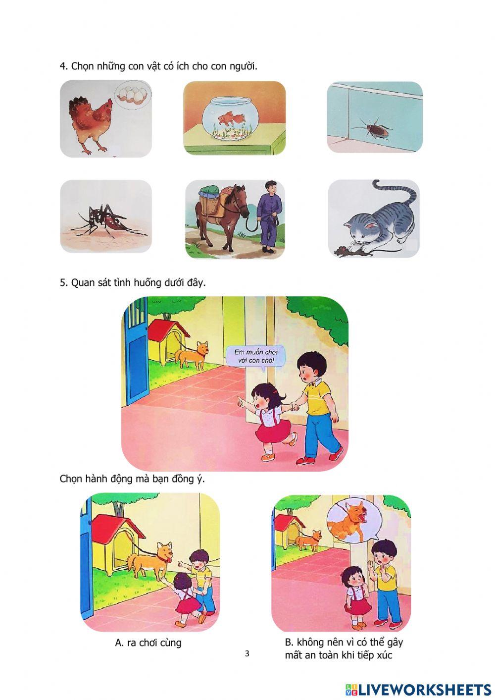 Động vật, thực vật