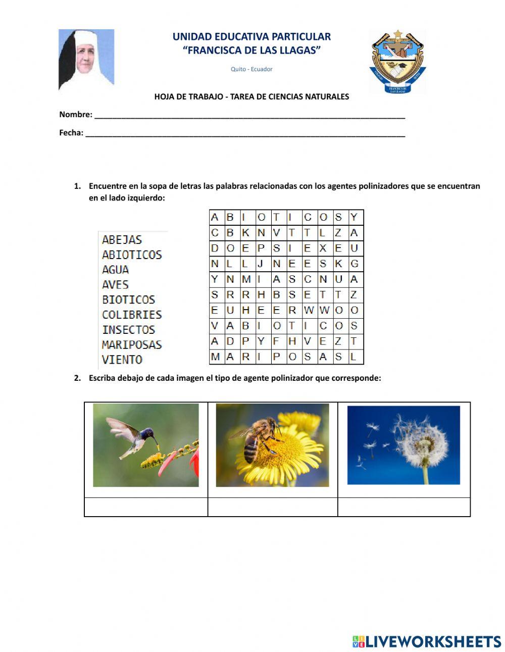 Agentes polinizadores