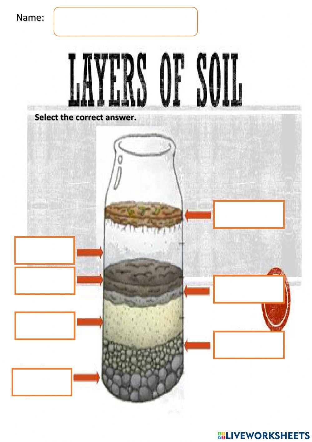 Layers of soil