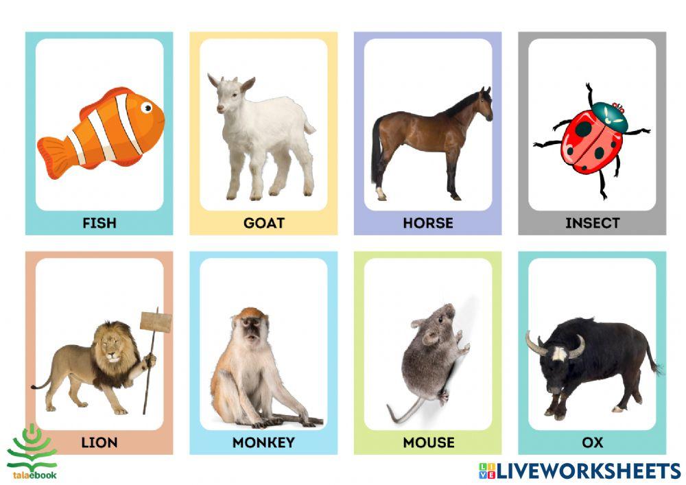 1000 từ vựng tiếng Anh - Chủ đề 1 - Động vật