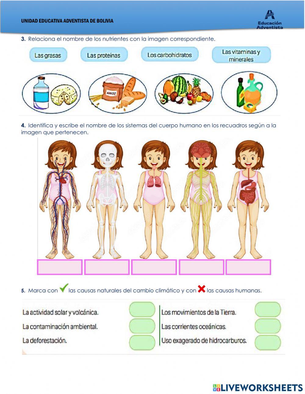 DIAGNÓSTICO - 6TO.PRIM. CIENCIAS NATURALES
