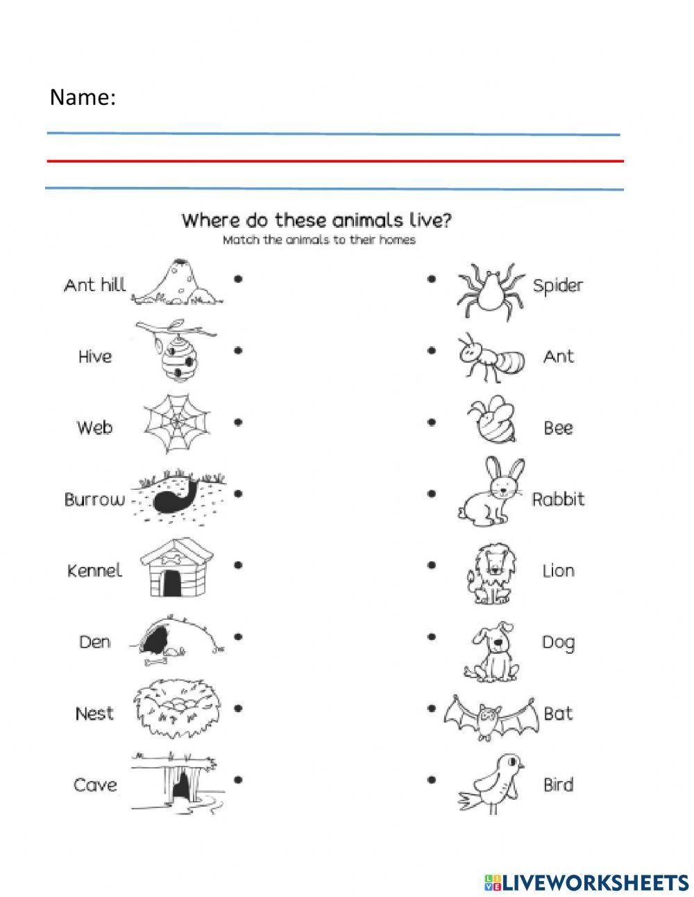 Homes of the animals
