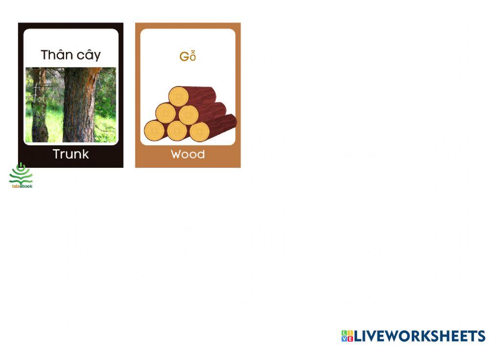 Luyện nghe và nói 1000 từ vựng tiếng Anh thông dụng chủ đề 2 - Cây cối