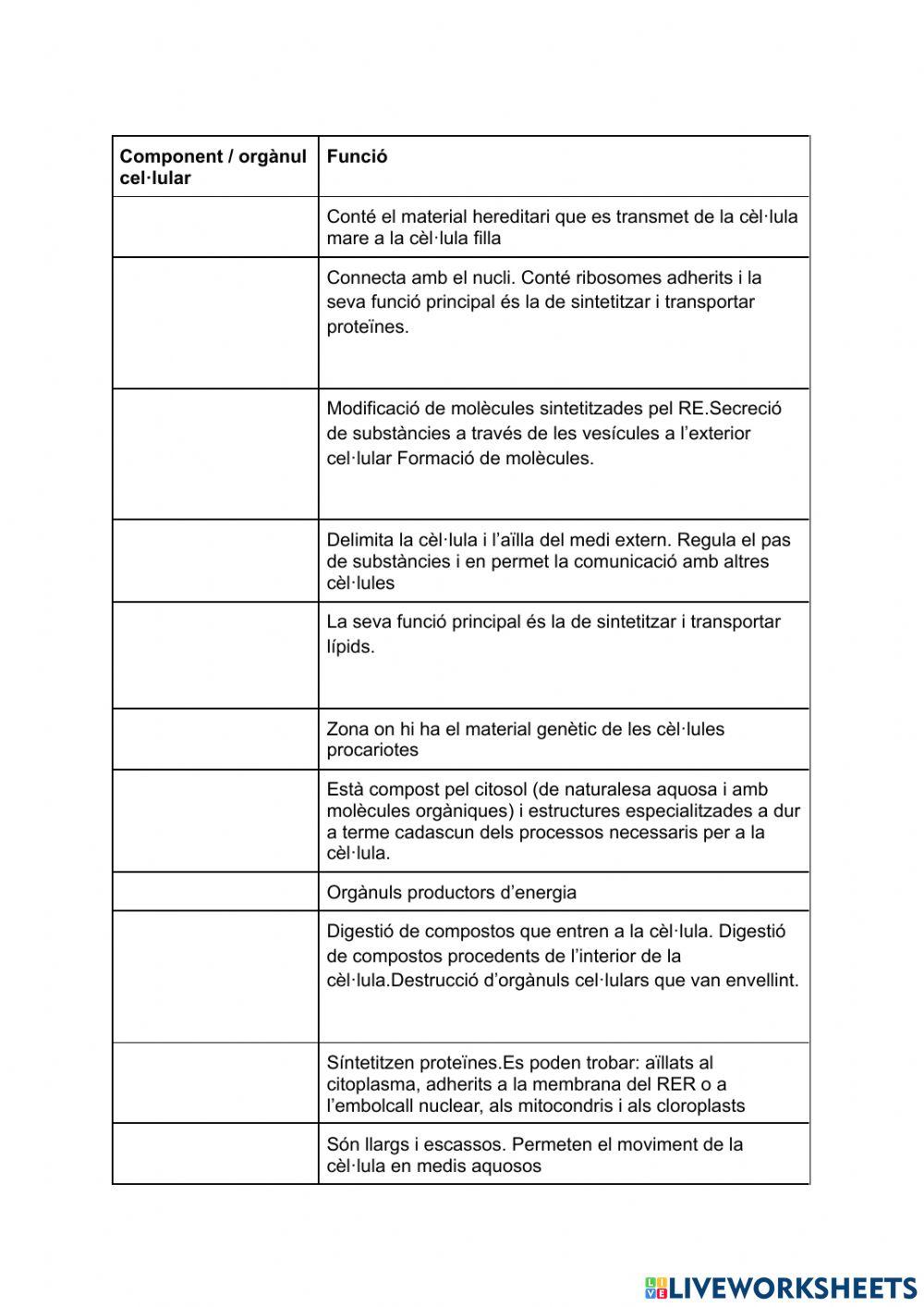 Òrganuls i components de les cèl·lules