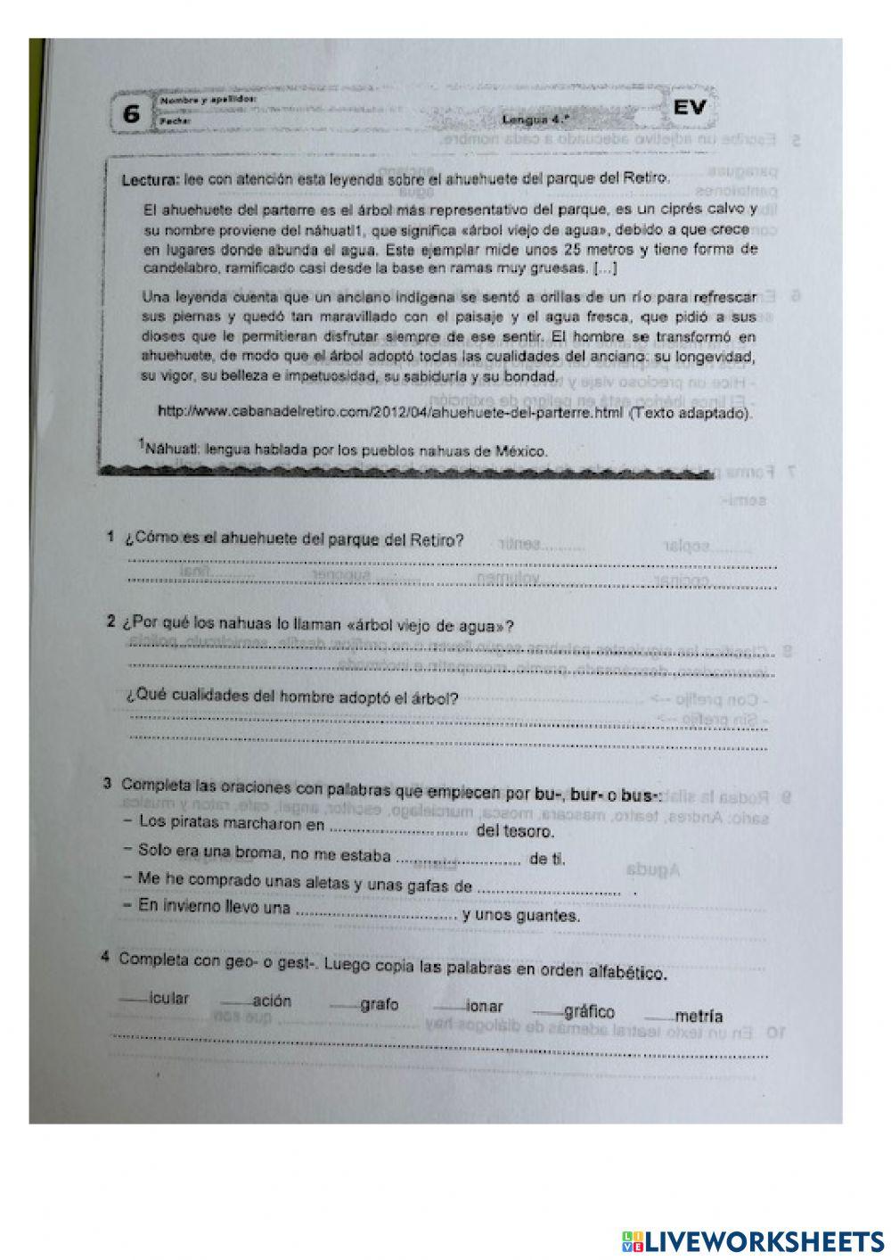 Examen Lengua 4º Tema 6 (1)