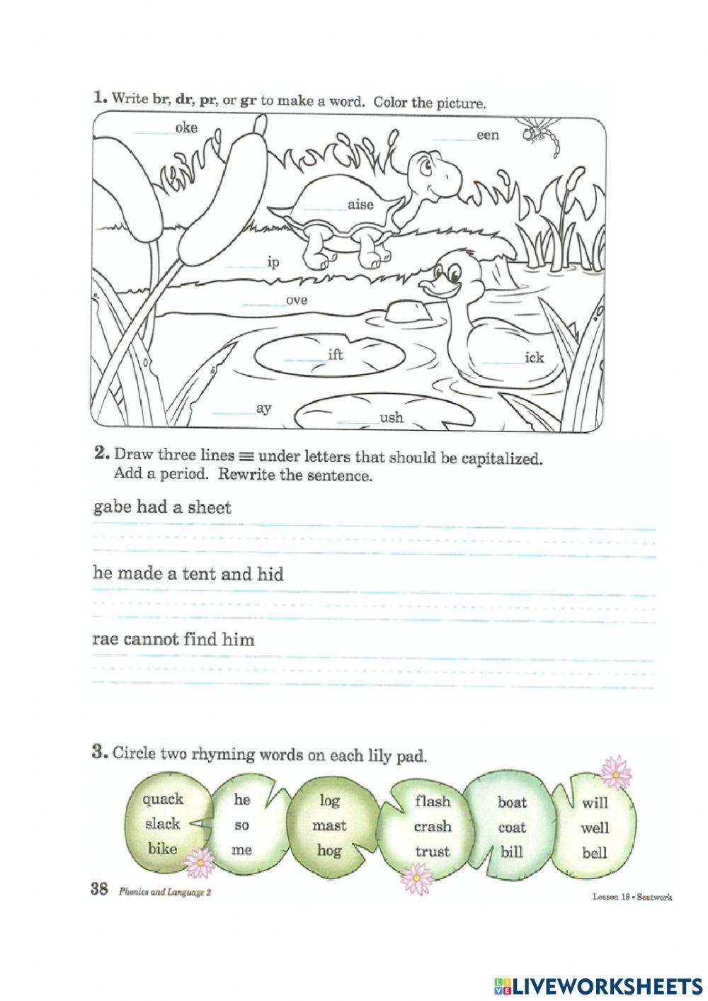 Reading Activity