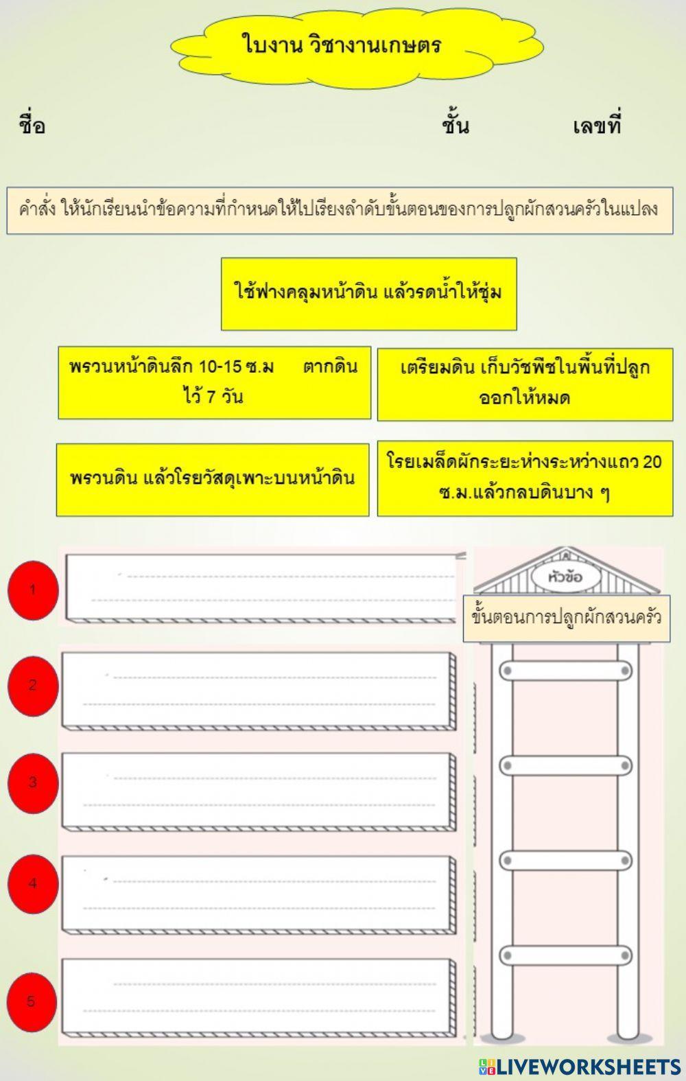 ใบงาน ขั้นตอนการปลูกผักสวนครัว