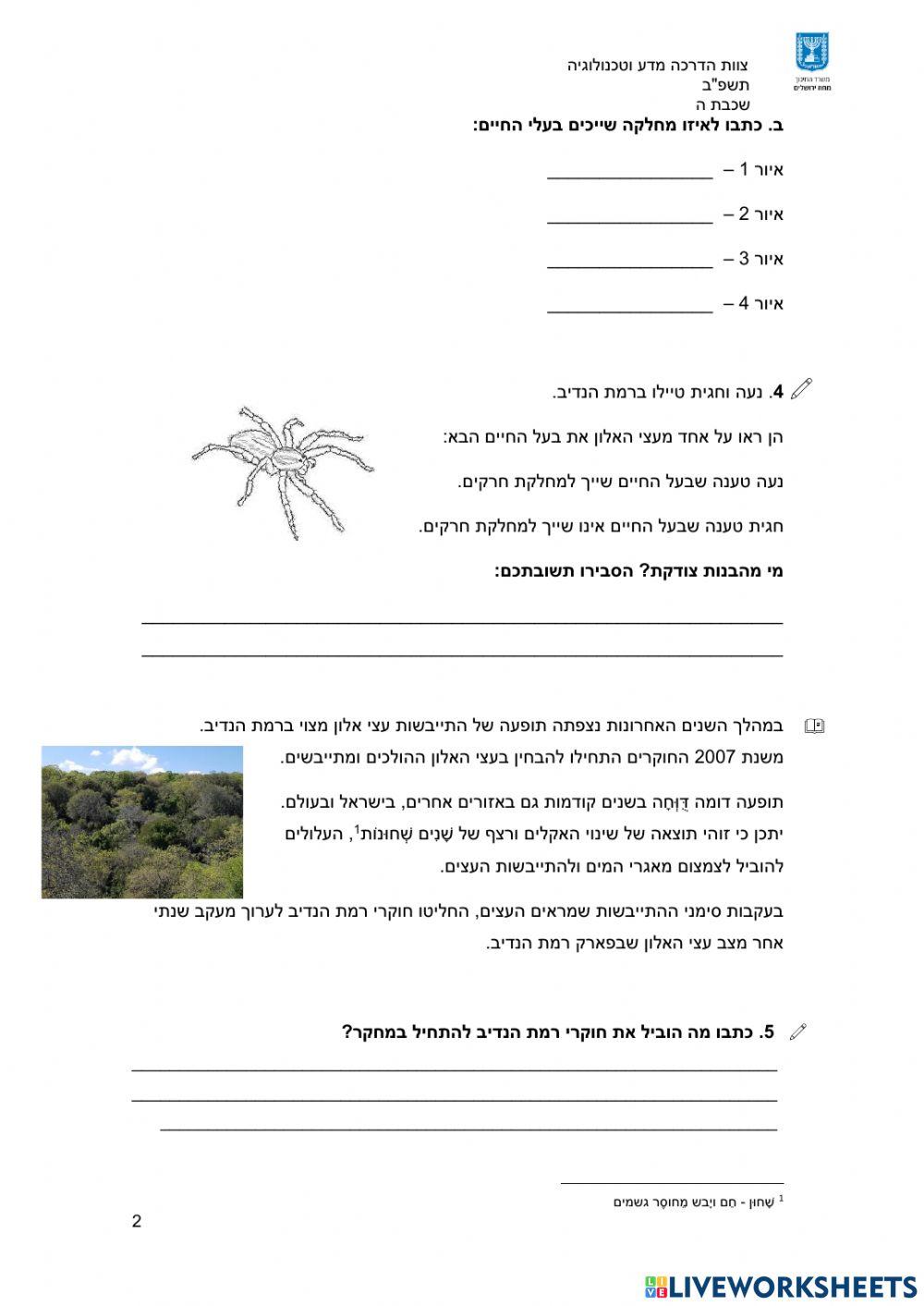 משימת הערכה מחוזית לכיתה ה '- זיכום מחצית - אלוני הנדיב