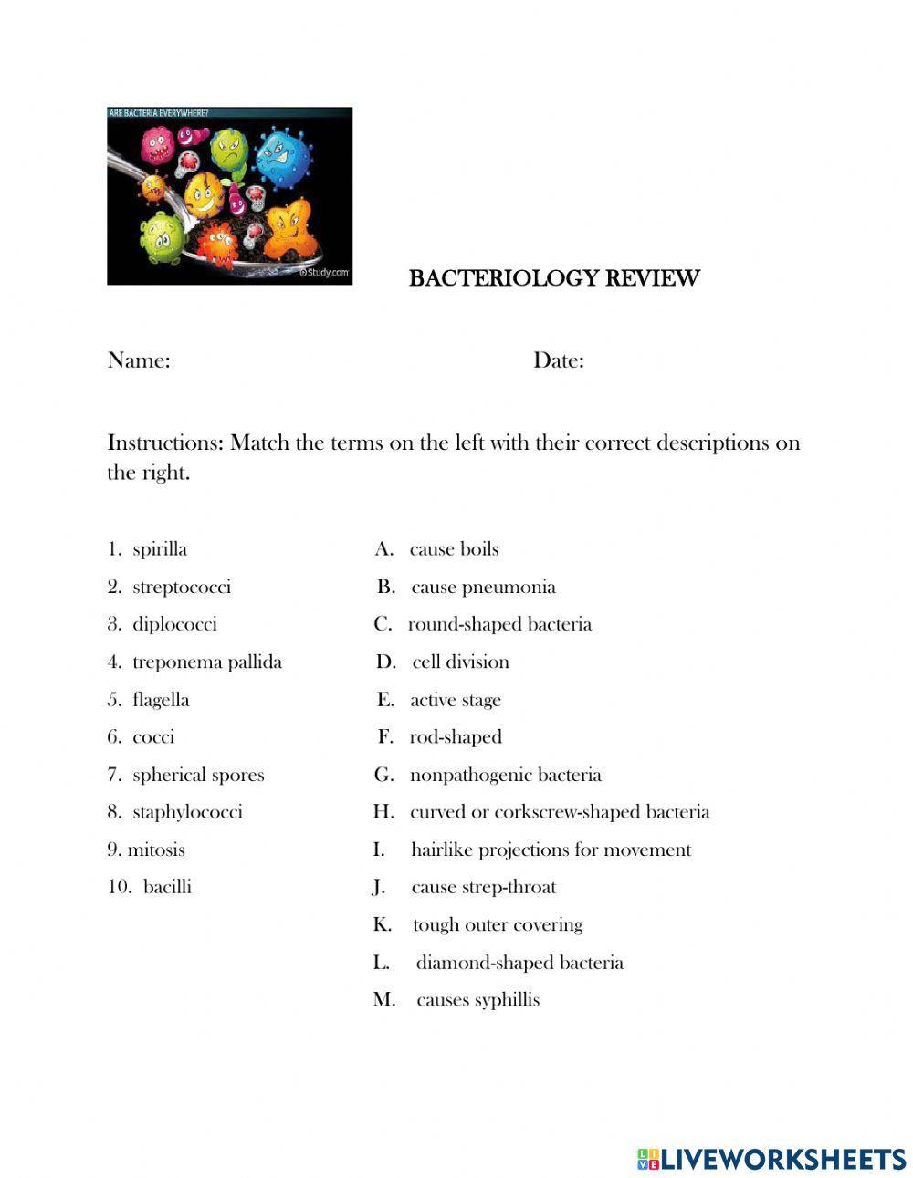 Bacteriology - Review