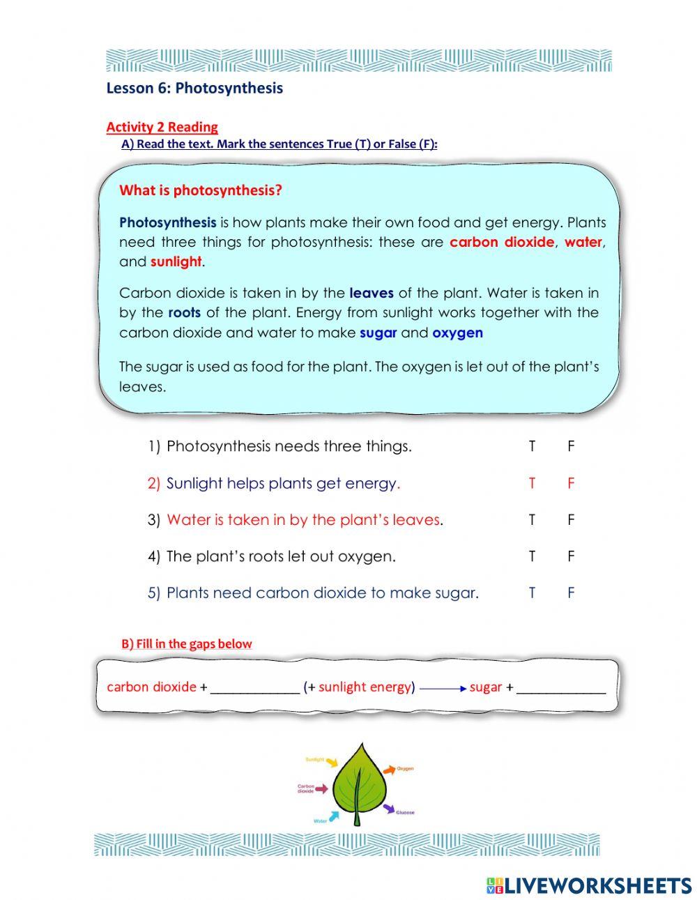 Access 8 - T2 - U6 - L6 - Act 2