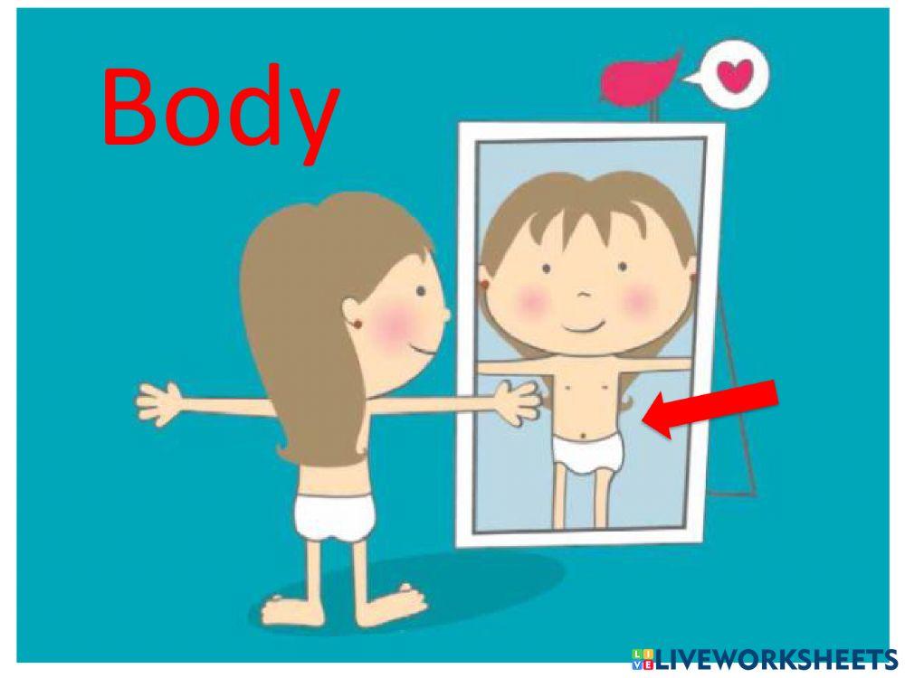 Locomotor and nervous system