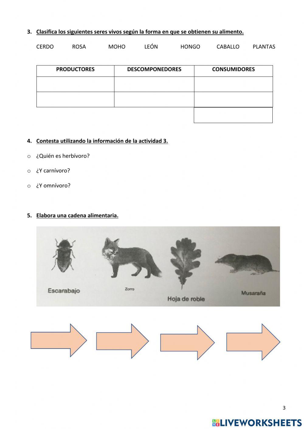 Examen Naturales Tema 2 5º de primaria
