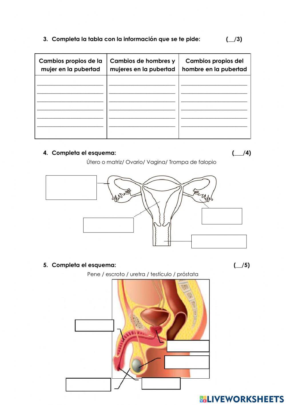 Test 2 Ciencias Naturales