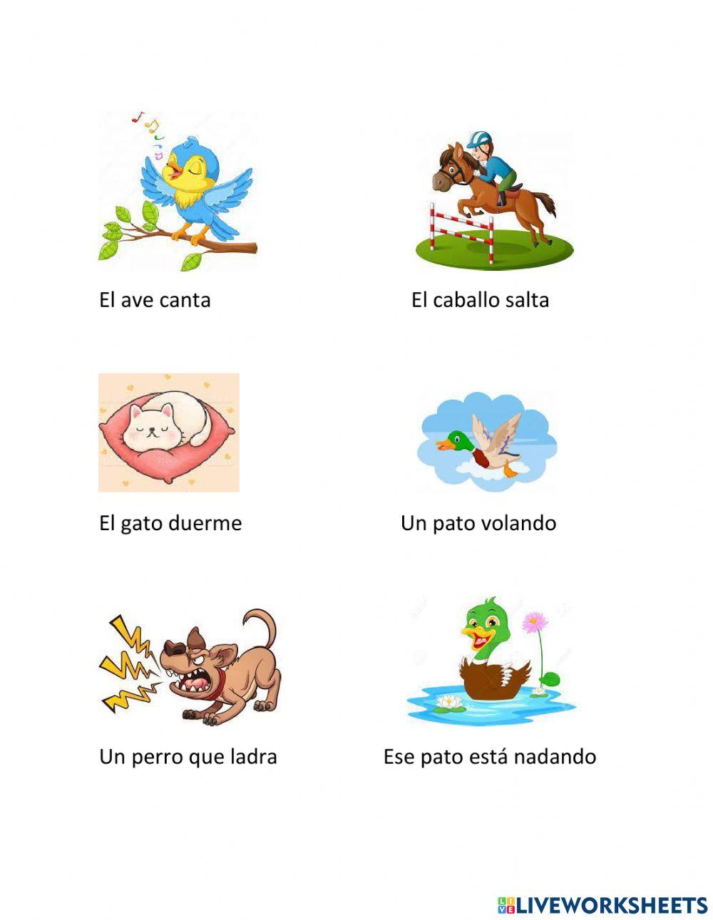 Actividades de los animales domésticos