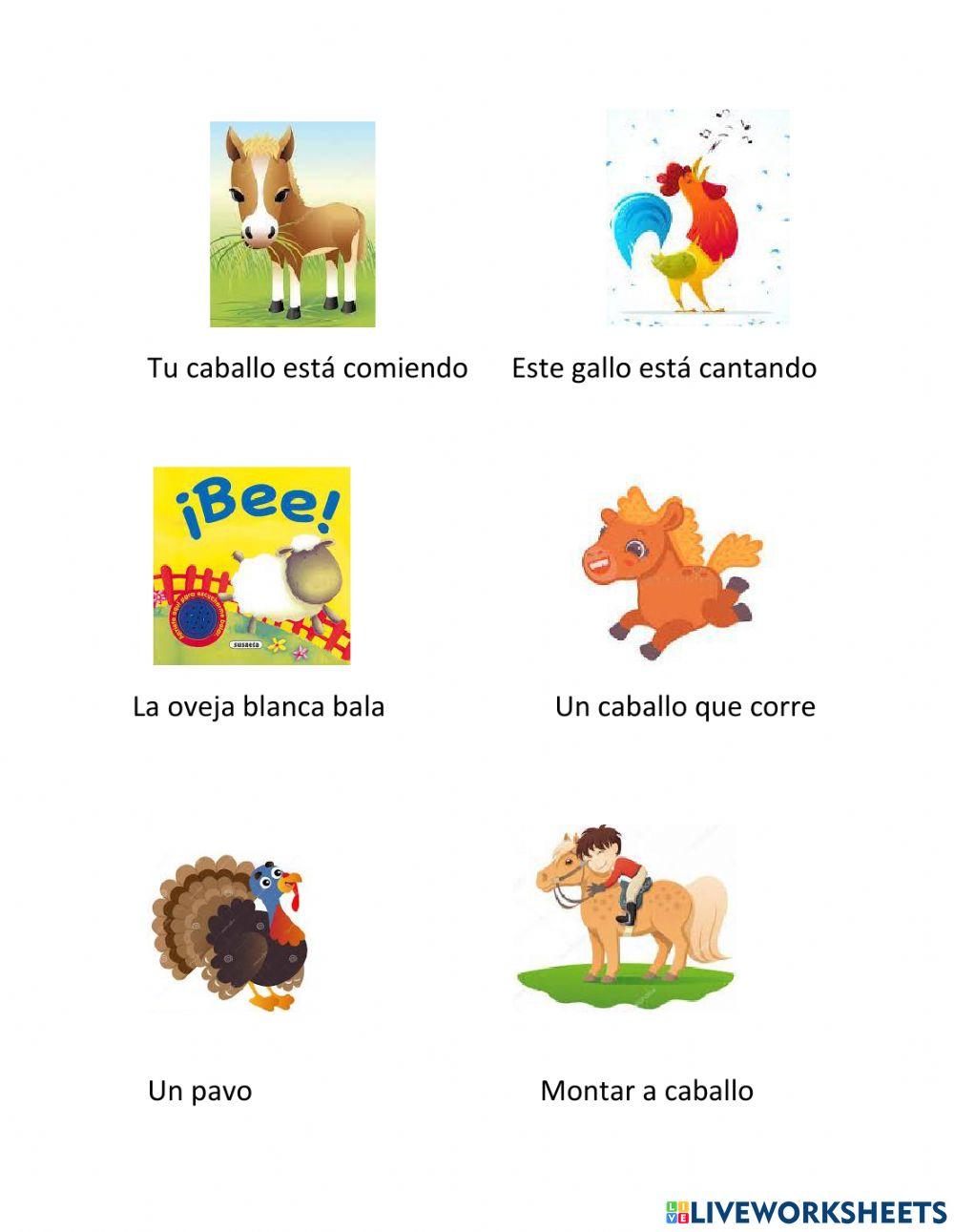 Actividades de los animales domésticos