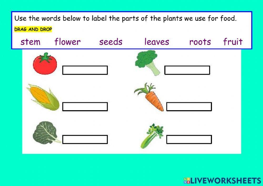 Parts of the plant we eat
