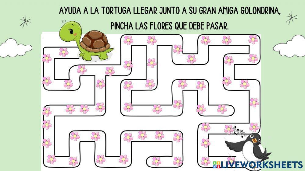 Las grandes amigas tortuga y golondrina