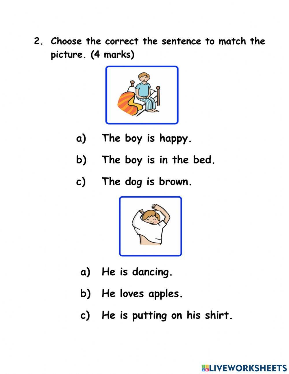 Picture & Sentence Sequencing