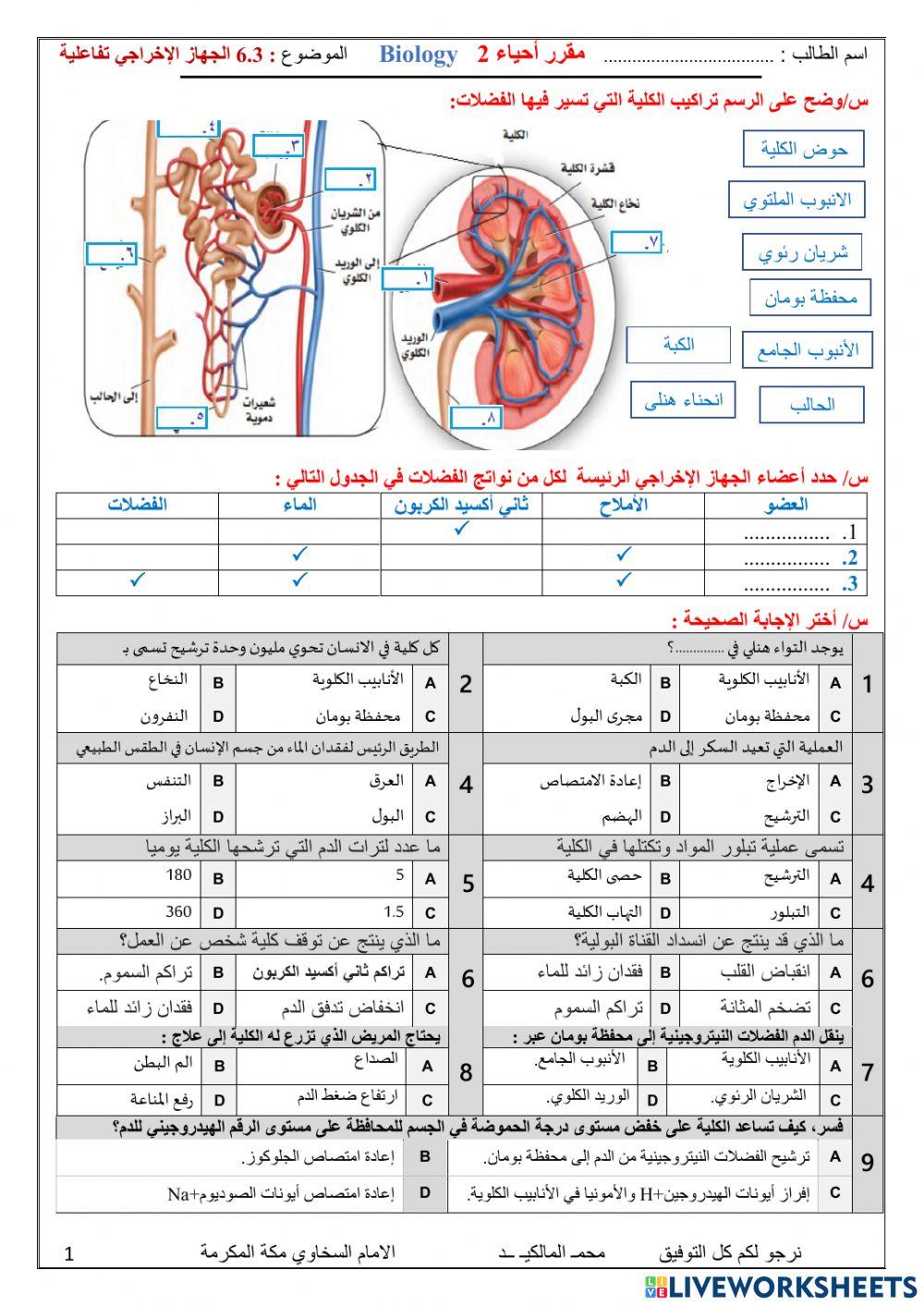 الجهاز الاخراجي تفاعلية