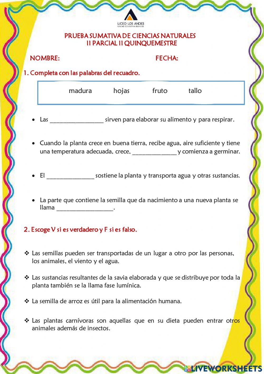 Prueba Sumativa CCNN IIP IIQ 2022