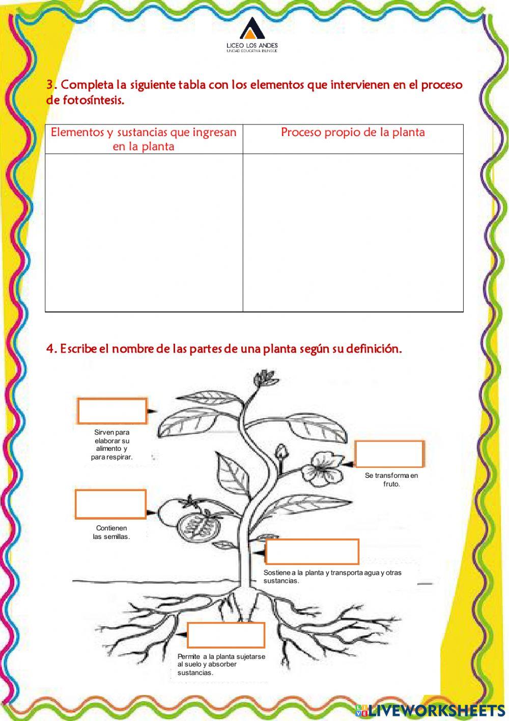 Prueba Sumativa CCNN IIP IIQ 2022