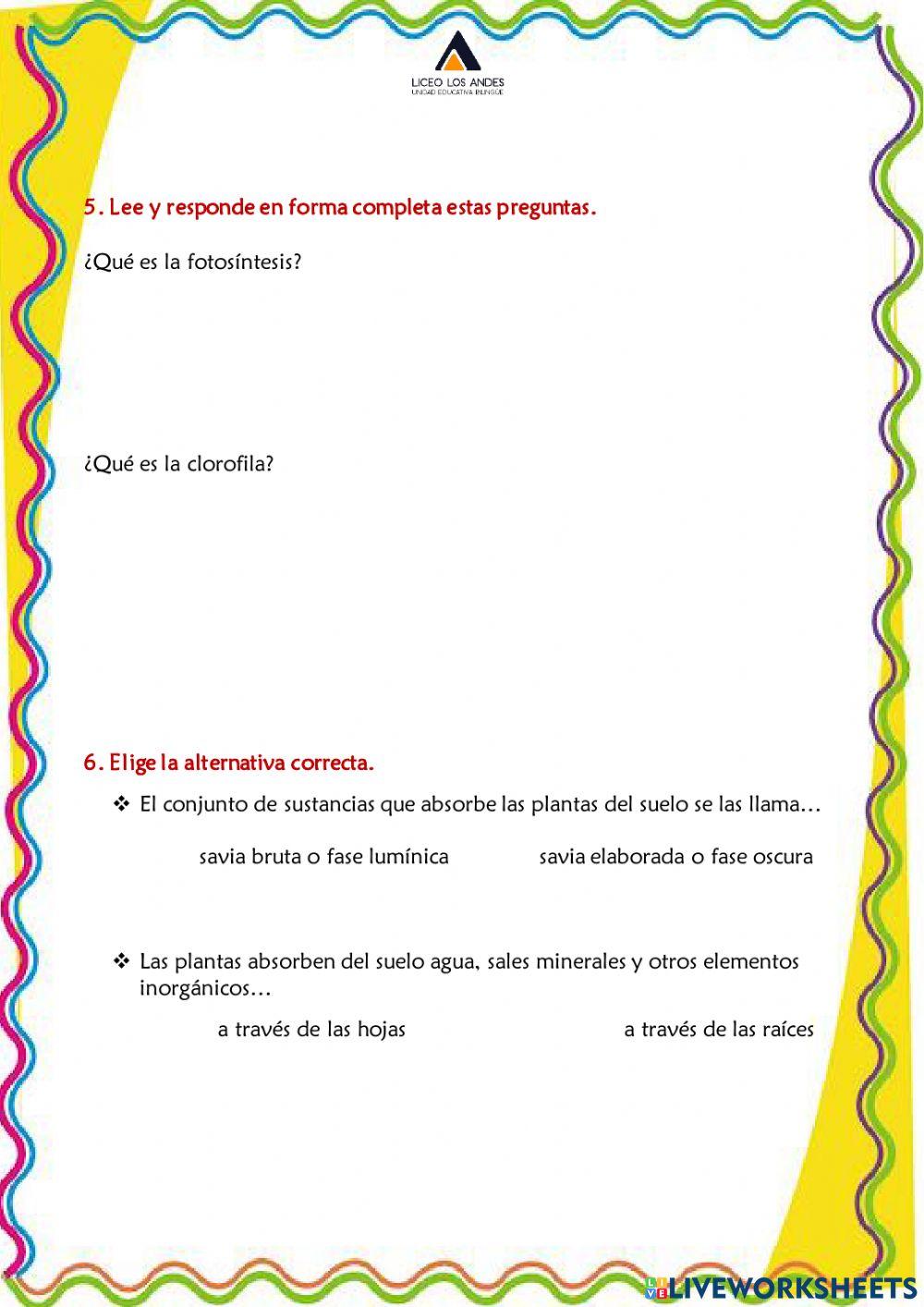 Prueba Sumativa CCNN IIP IIQ 2022