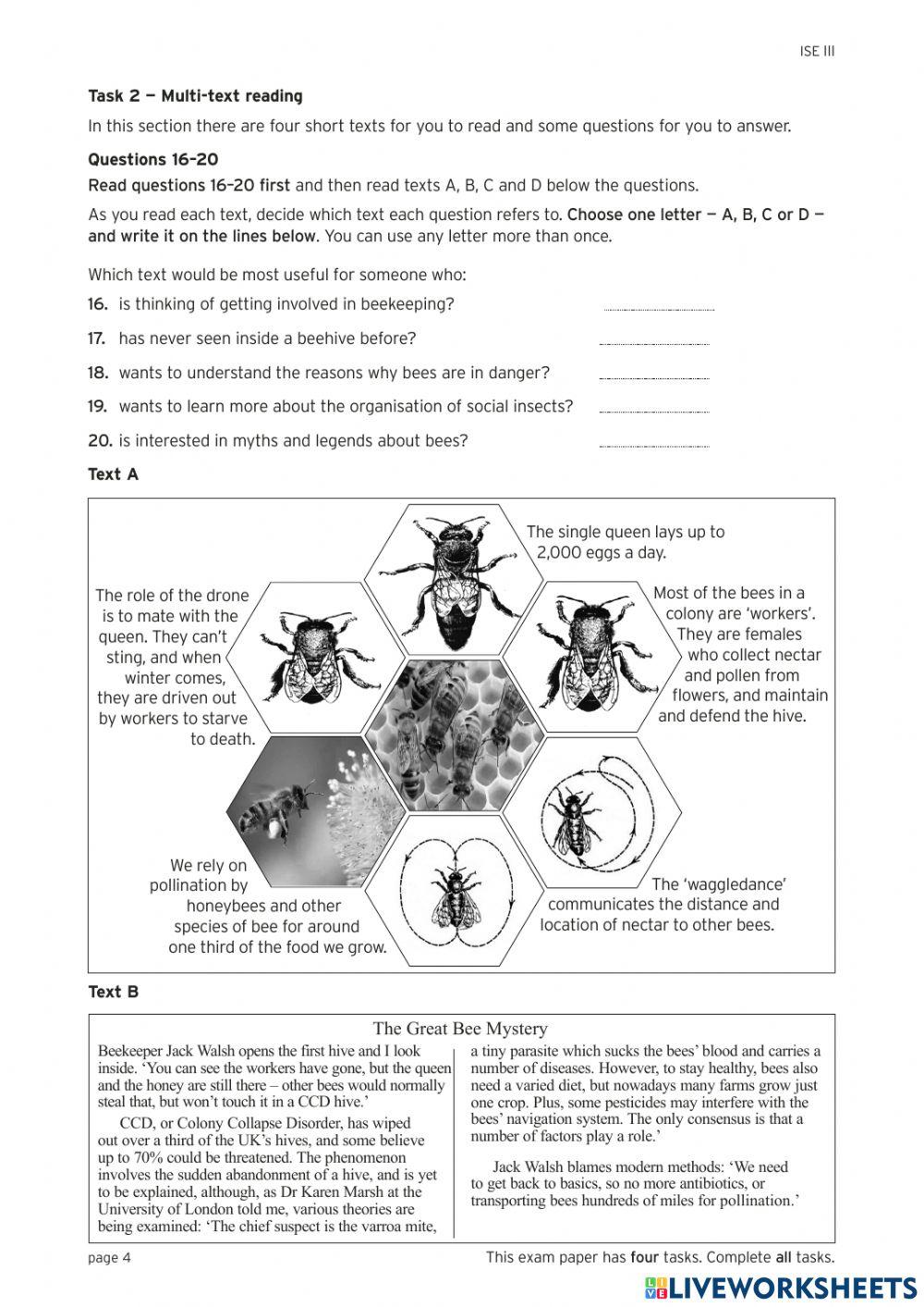 ISE3.2 FIRST TERM EXAM