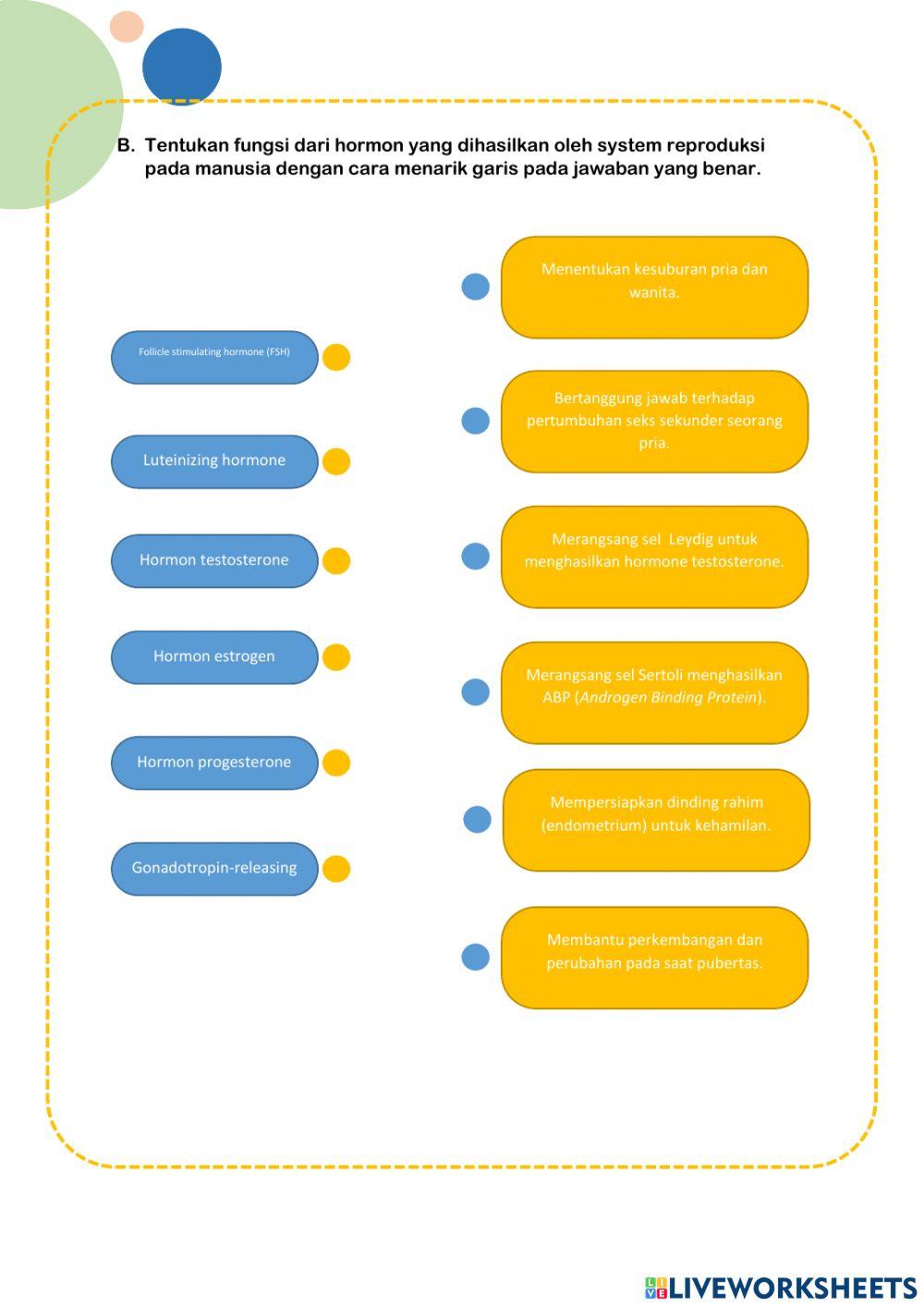 LKPD System reproduksi pada manusia