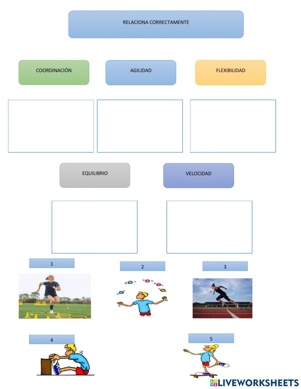 Capacidades físicas