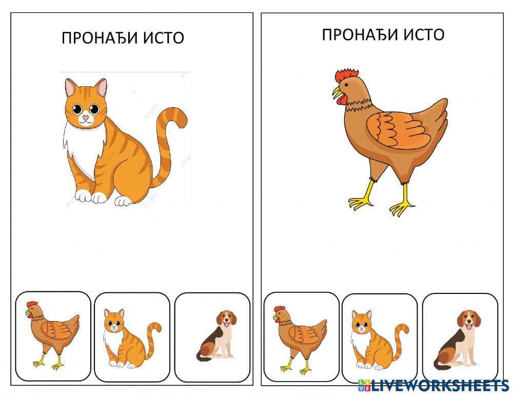 Pronađi ono što je isto