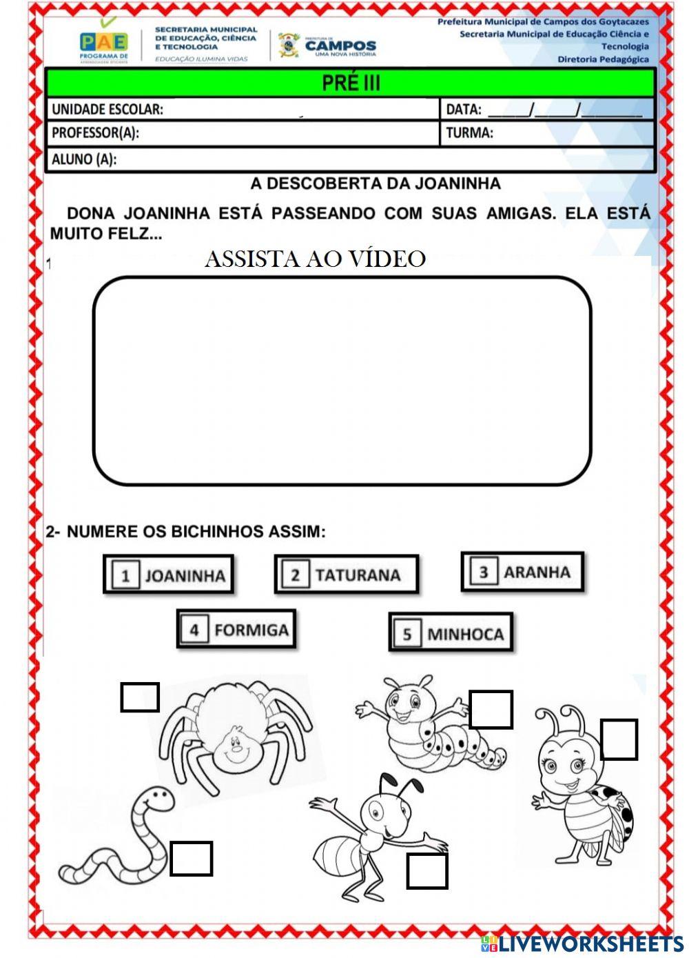 A descoberta de dona joaninha