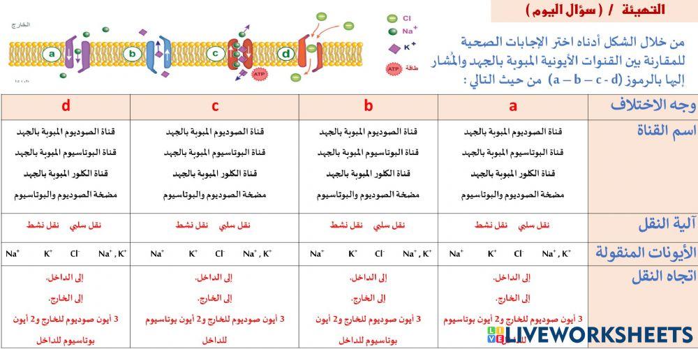 انتقال السيال العصبي 2