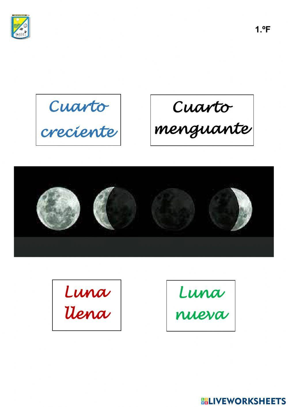 Fases lunares